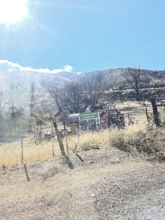 Lions Camp at Wrightwood Picture 8