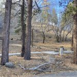 Peavine Campground