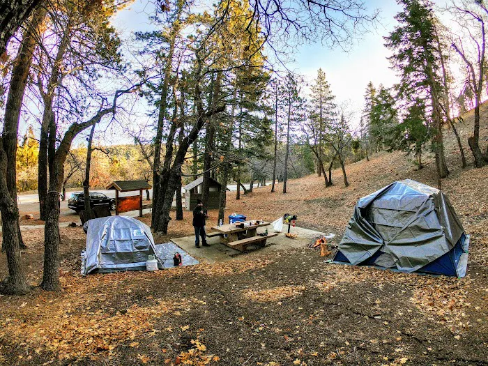 Peavine Campground Picture 6