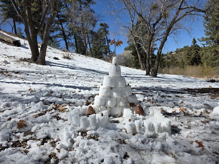 Peavine Campground Picture 8