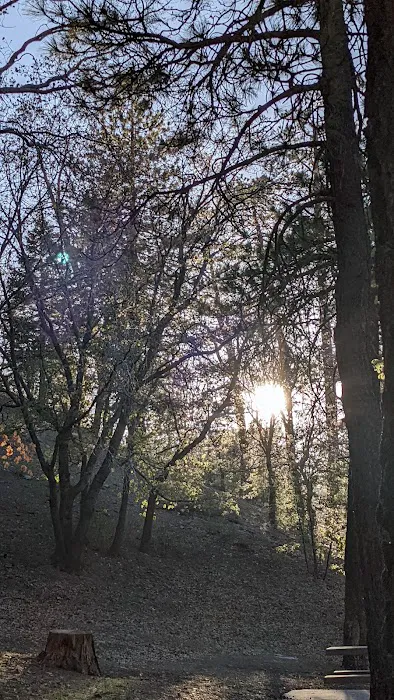 Peavine Campground Picture 4