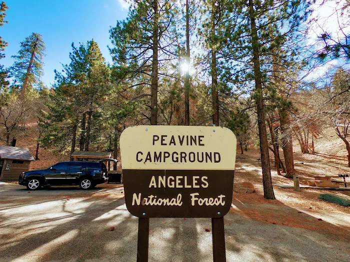 Peavine Campground Picture 5