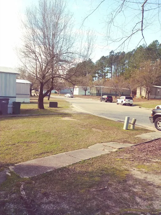 Carolina Springs Mobile Home Picture 1
