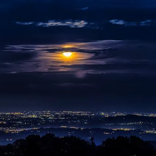 Whispering Pine Village Picture 7