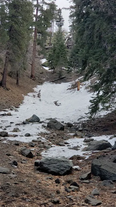 Appletree Campground Picture 4