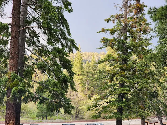 Appletree Campground Picture 3