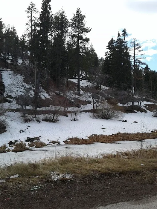 Lake Campground Picture 4