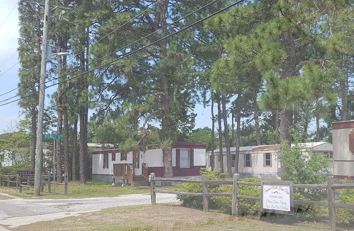 Pageland Mobile Home Park Picture 1