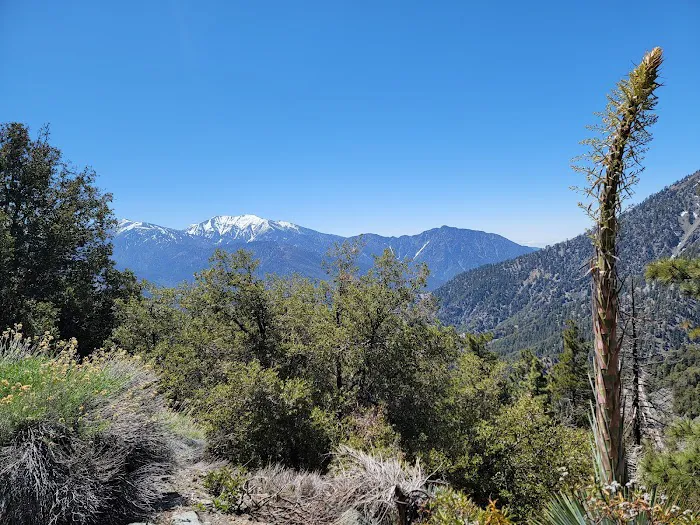 Jackson Flat Group Campground Picture 1