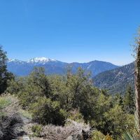 Jackson Flat Group Campground ico