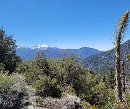 Jackson Flat Group Campground