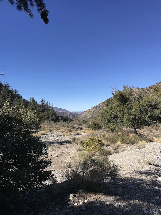Big Rock Campground Picture 6