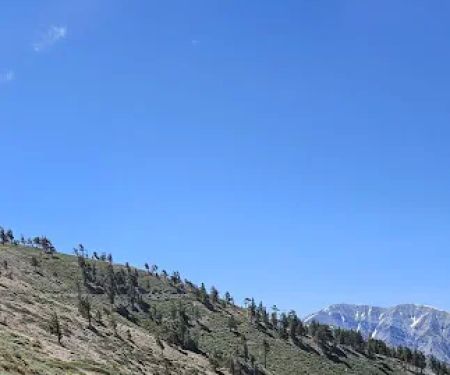 Jackson Flat Campground