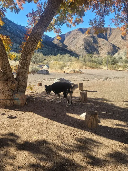 Southfork Campground Picture 8