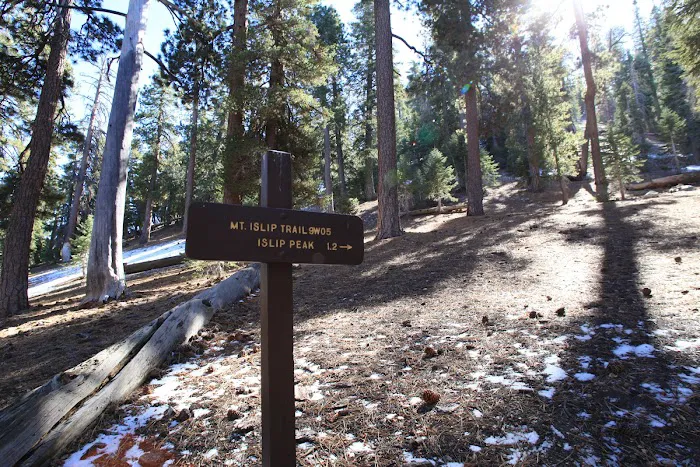 Little Jimmy Trail Camp Picture 5