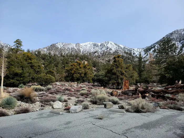 Deer Flats Group Campground Picture 2