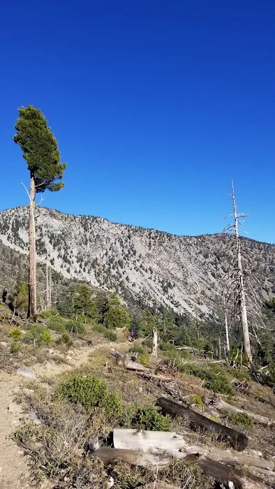 Deer Flats Group Campground Picture 6