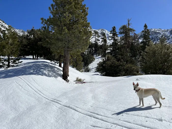 Deer Flats Group Campground Picture 4