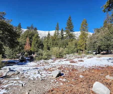 Crystal Lake Rec Area Campground