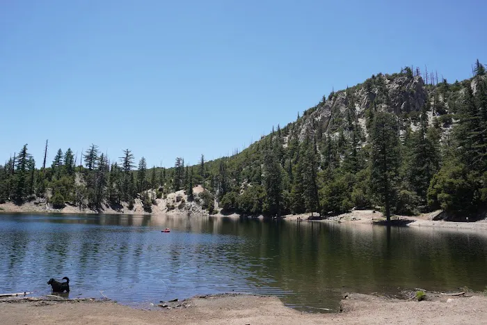 Crystal Lake Rec Area Campground Picture 5