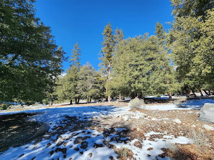 Crystal Lake Rec Area Campground Picture 6