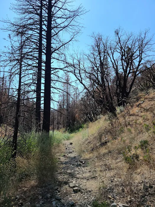 Cooper Canyon Trail Camp Picture 3