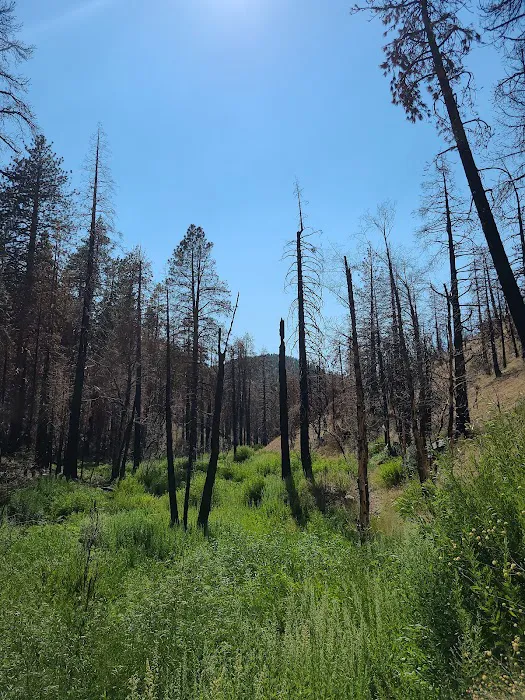 Cooper Canyon Trail Camp Picture 2