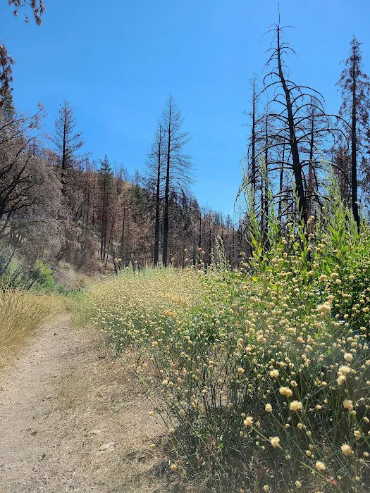 Cooper Canyon Trail Camp Picture 4