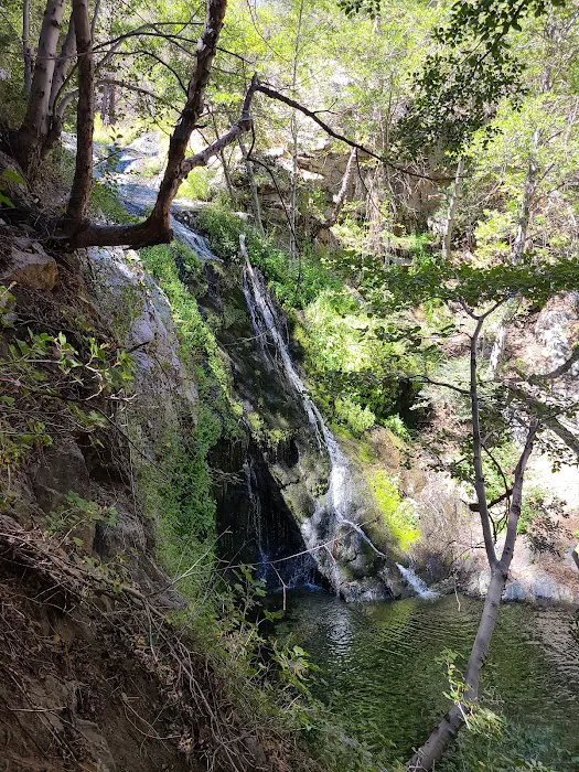 Cooper Canyon Trail Camp Picture 10