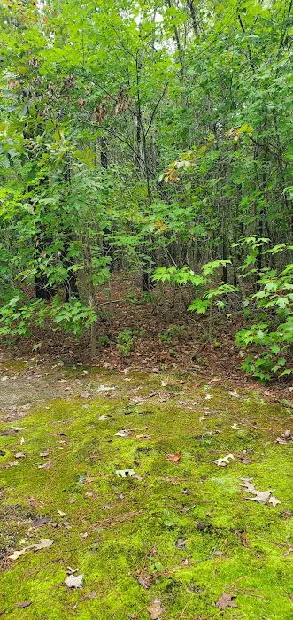 Thornwood Village Picture 6