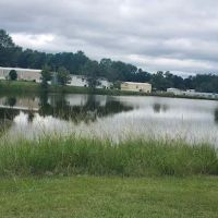 Thornwood Village ico