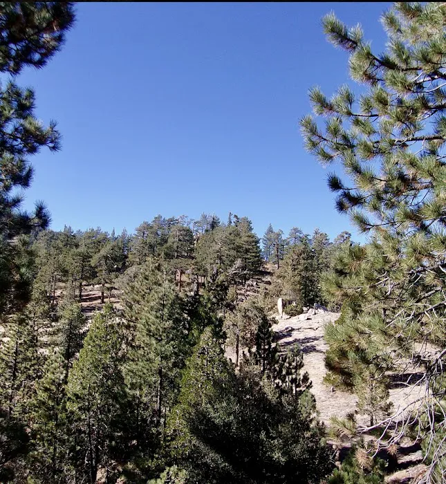 Mount Akawie Picture 4