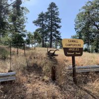 Sawmill Campground ico