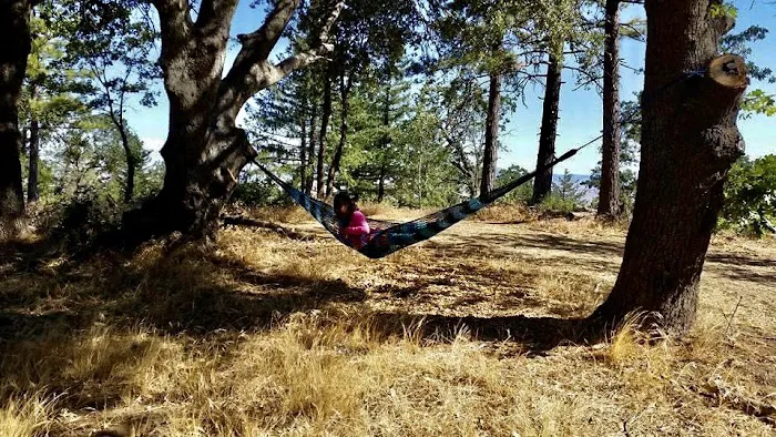 Sawmill Campground Picture 7
