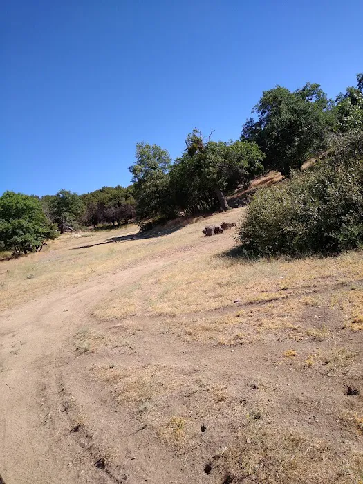 Bear Campground Picture 9
