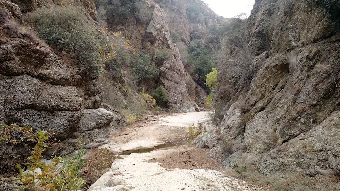 Cienega Campground Picture 1