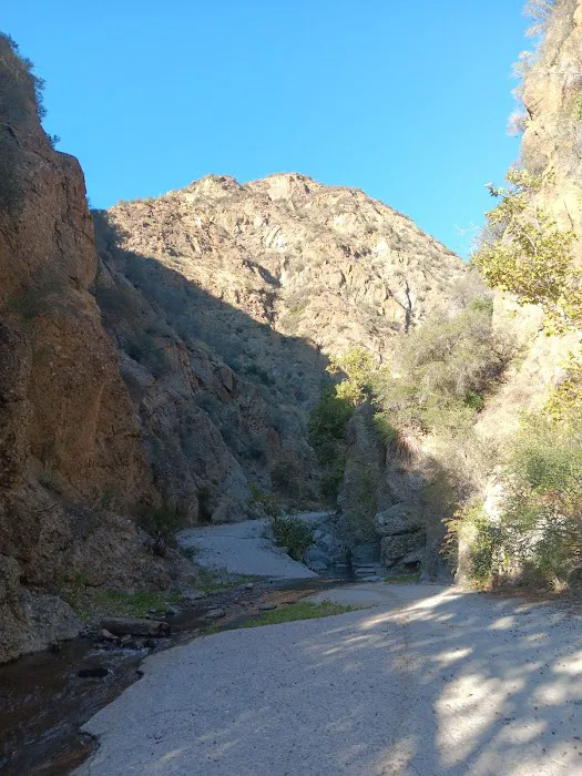 Cienega Campground Picture 3