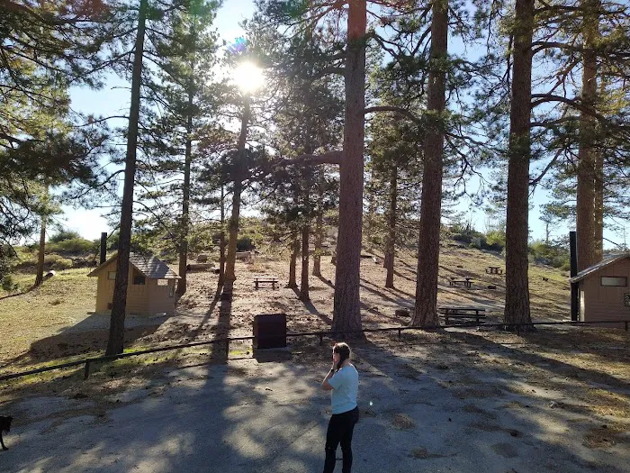 Messenger Flats Campground Picture 9