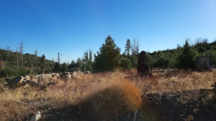 Messenger Flats Campground Picture 5