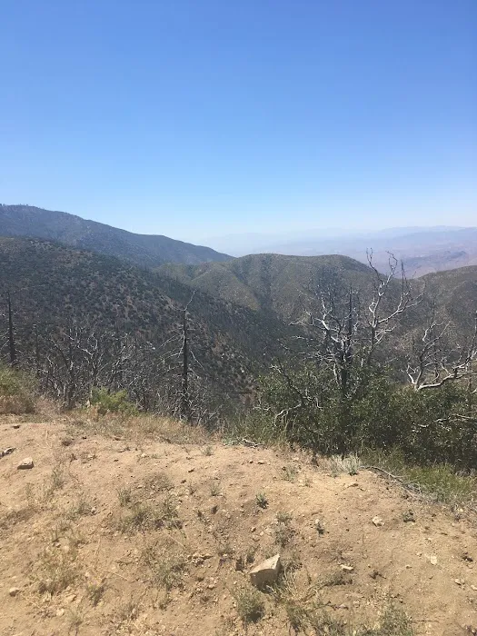 Big Buck Campground Picture 5