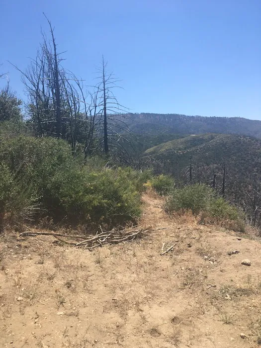Big Buck Campground Picture 10