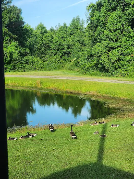 W.R. Willis RV Campground Picture 4