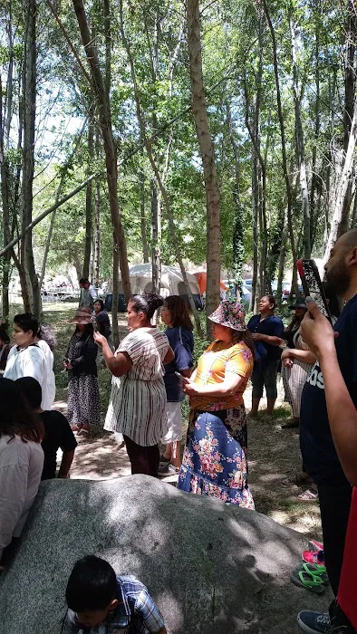 Rancho Ybarra Picture 3