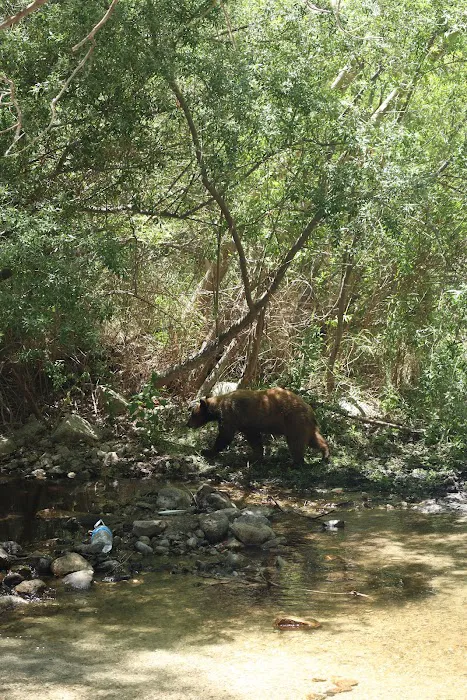 Rancho Ybarra Picture 5