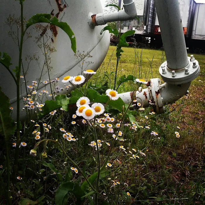 South Gate Mobile Home Park Picture 6