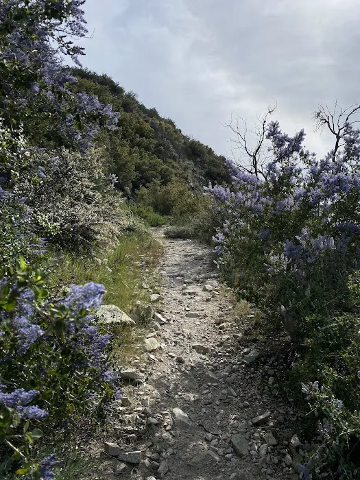 Fall Creek Trail Camp Picture 1