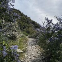 Fall Creek Trail Camp ico