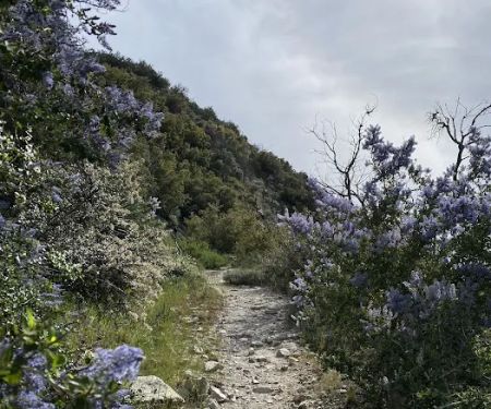 Fall Creek Trail Camp