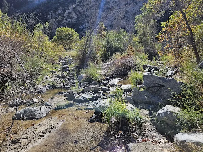 Fall Creek Trail Camp Picture 2