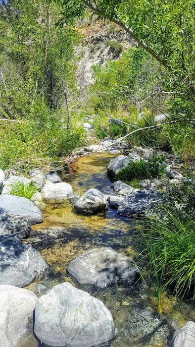Fall Creek Trail Camp Picture 4